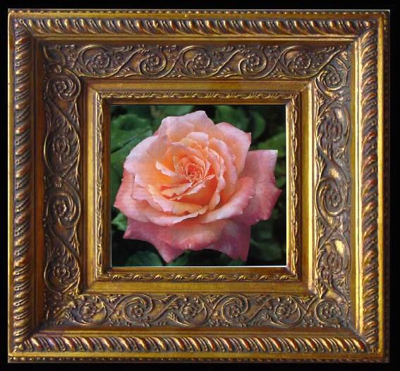 framed  unknow artist Still life floral, all kinds of reality flowers oil painting  210, Ta078